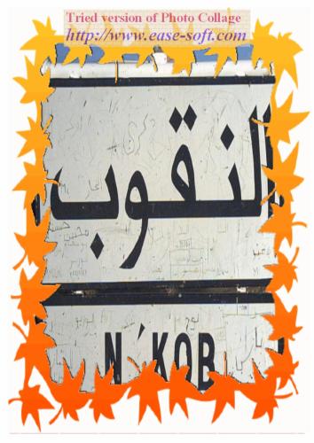 n'kob
